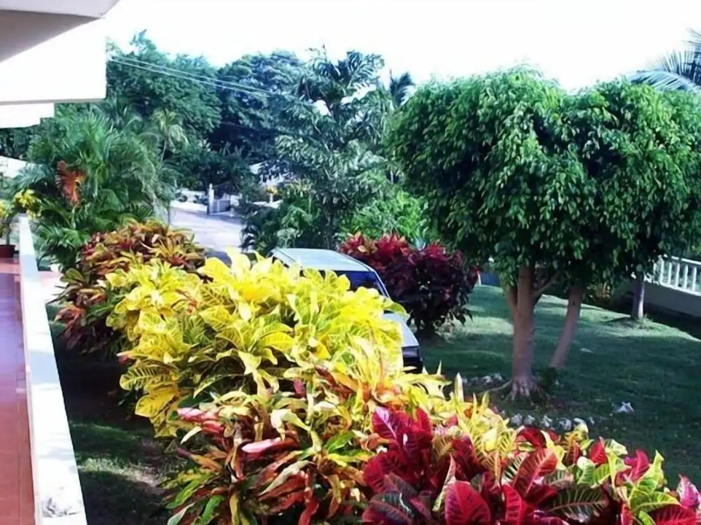 Island inn Apartments