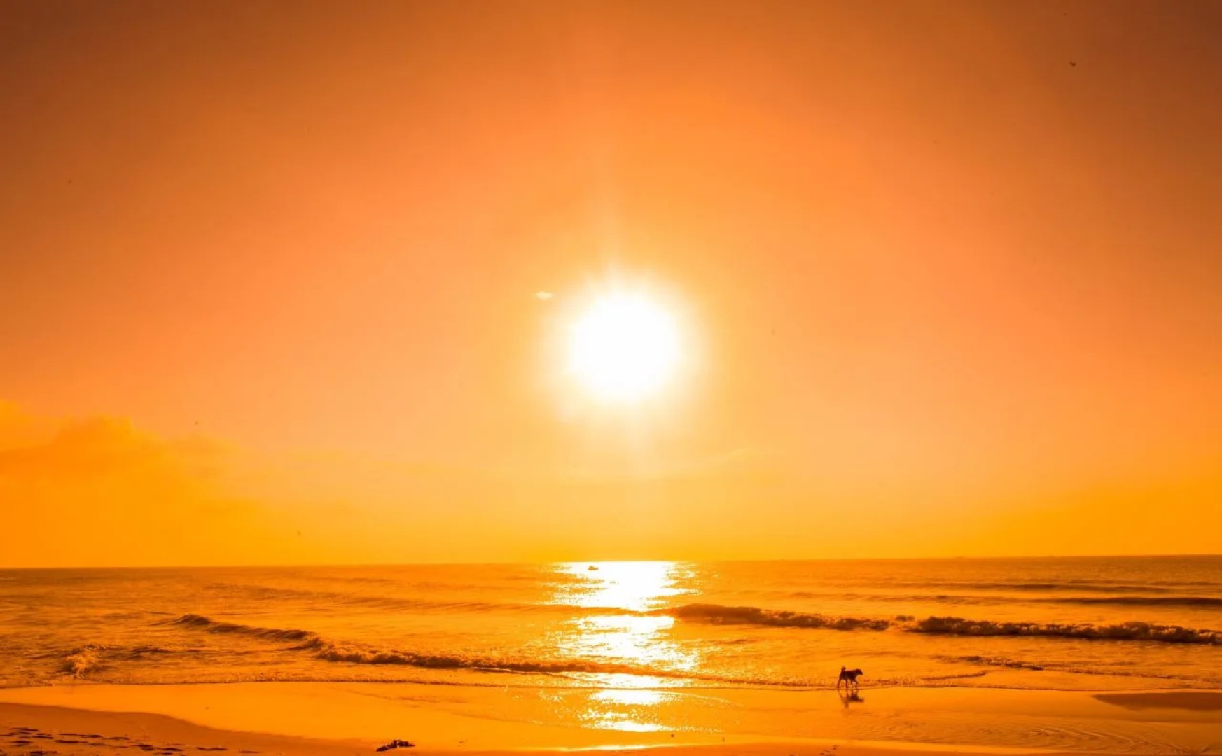 Feng Shui Resort & Spa