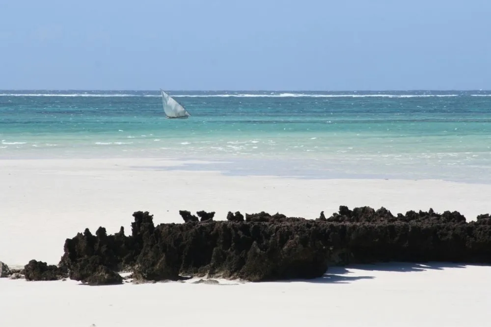 Coral Lodge 15.41