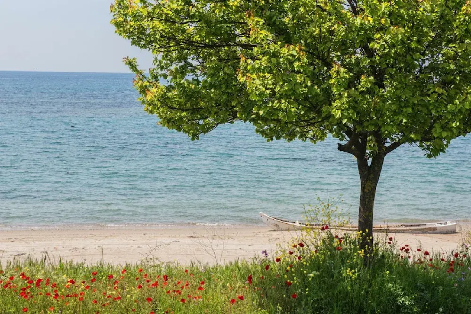 halu! Modern & Cozy Seafront Villa