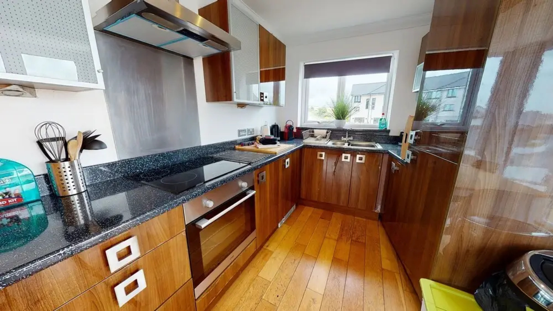 Cosy Dragon @Pembrokeshire