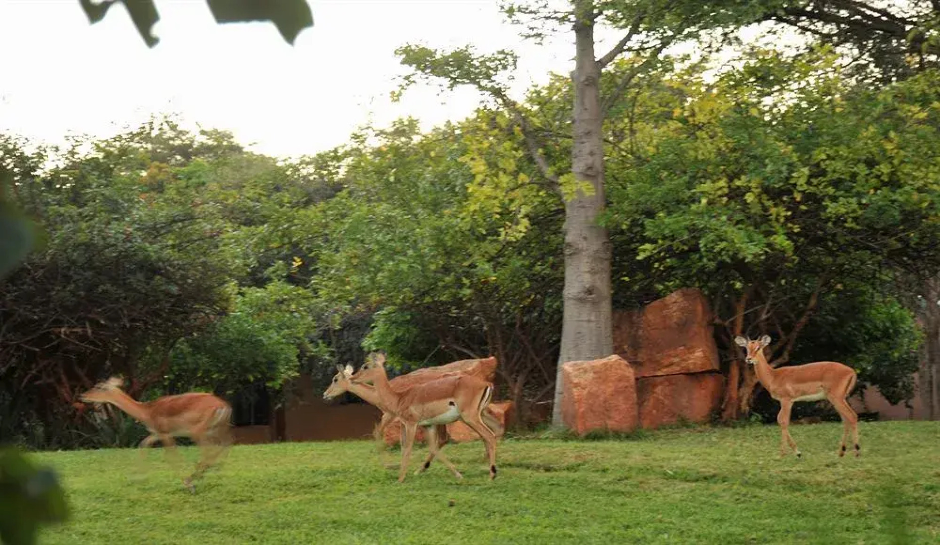 Cresta Golfview Hotel