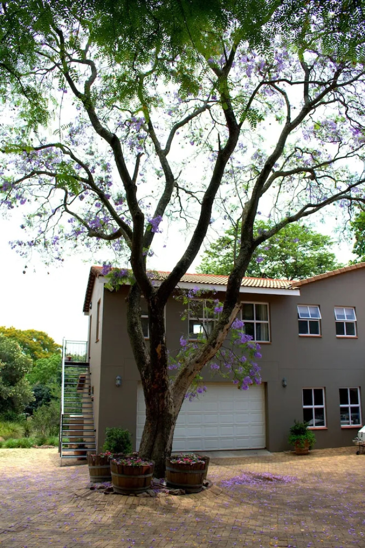 Wild Olive Executive Suite