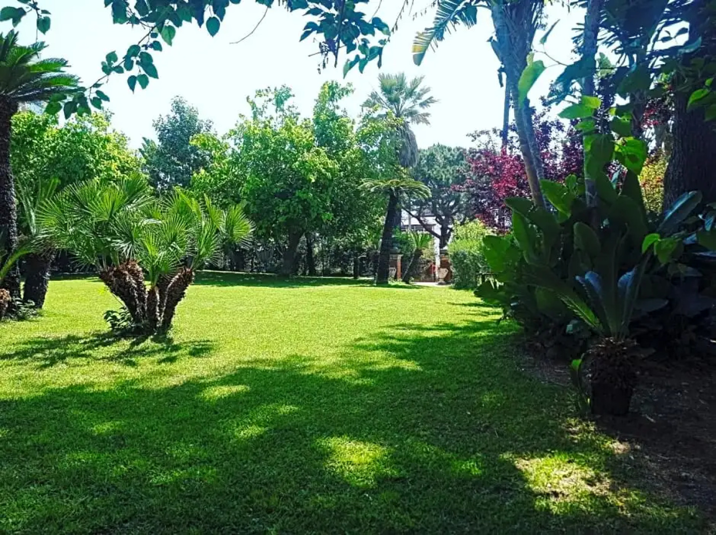 Villa dei Marchesi Carrozza