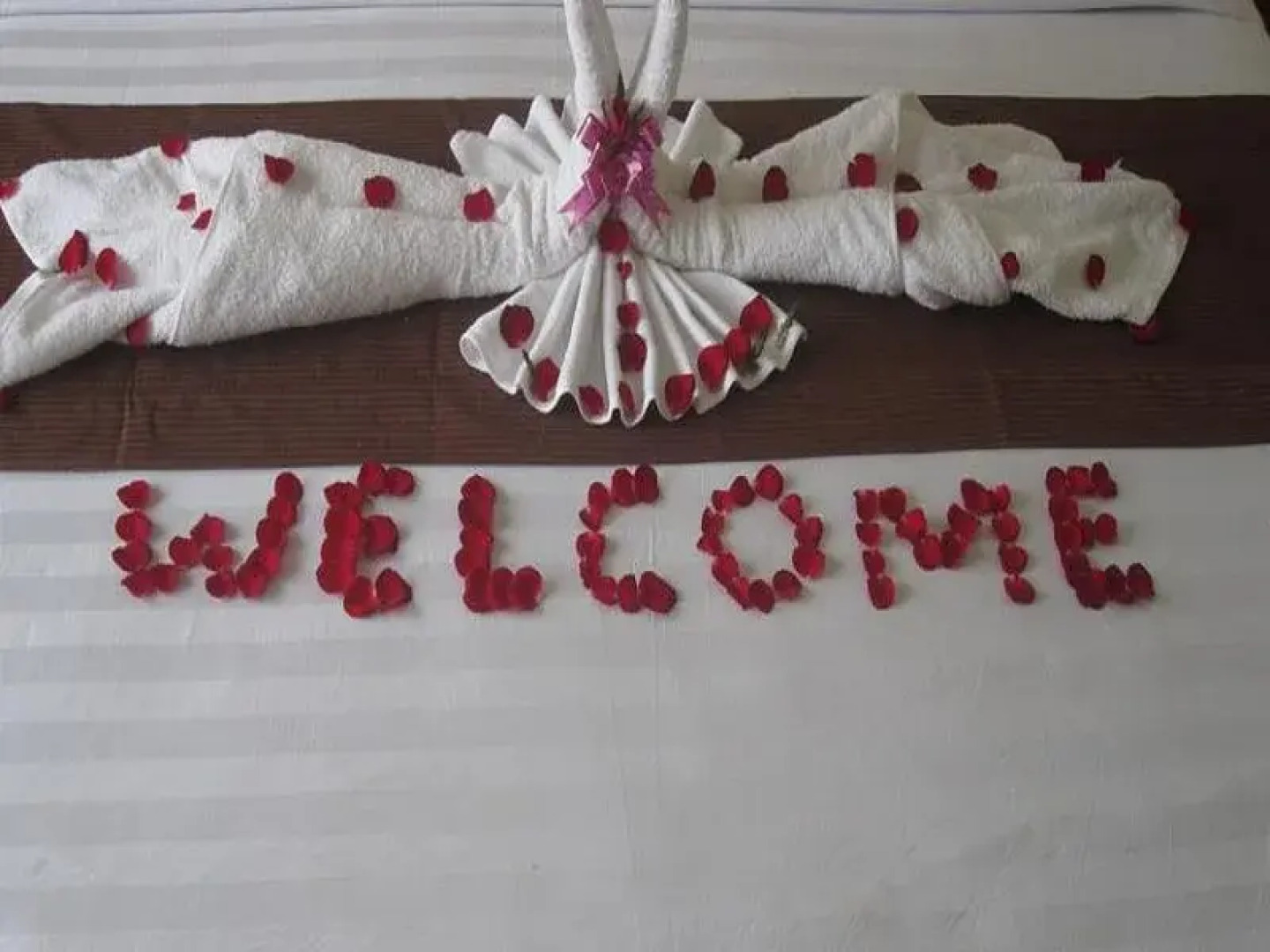 The Northern Land Hotel