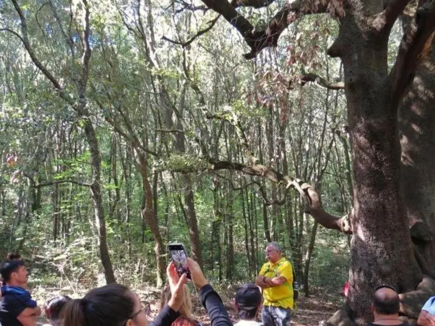 TERRA TERRA - Masseria Minunni