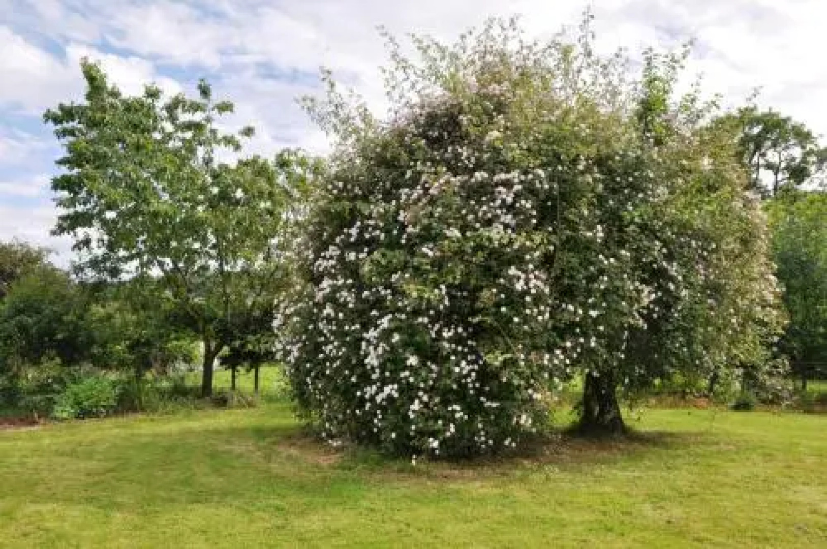 The Farm Snead Bed & Breakfast
