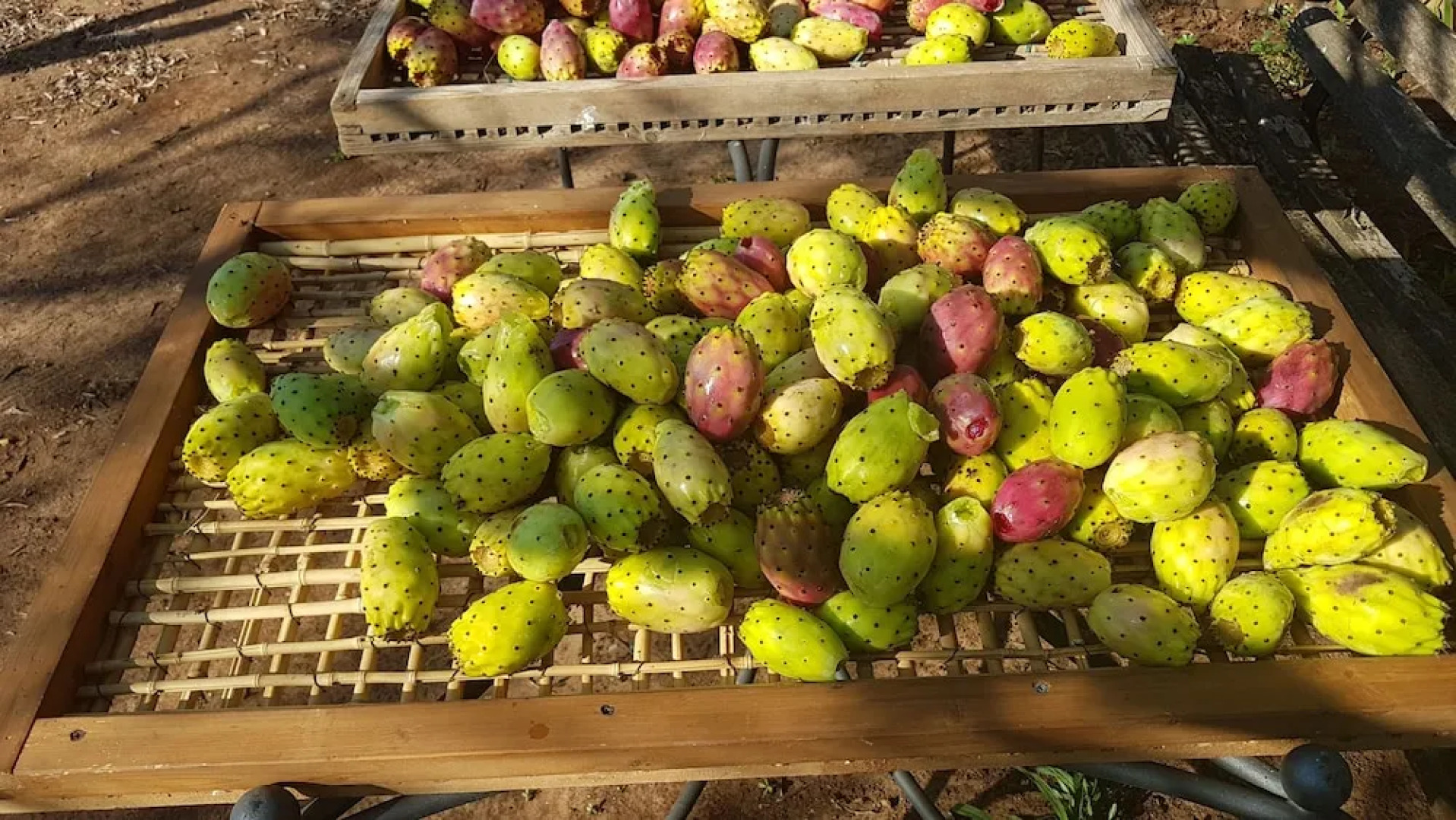 Le Radici Casa Vacanze