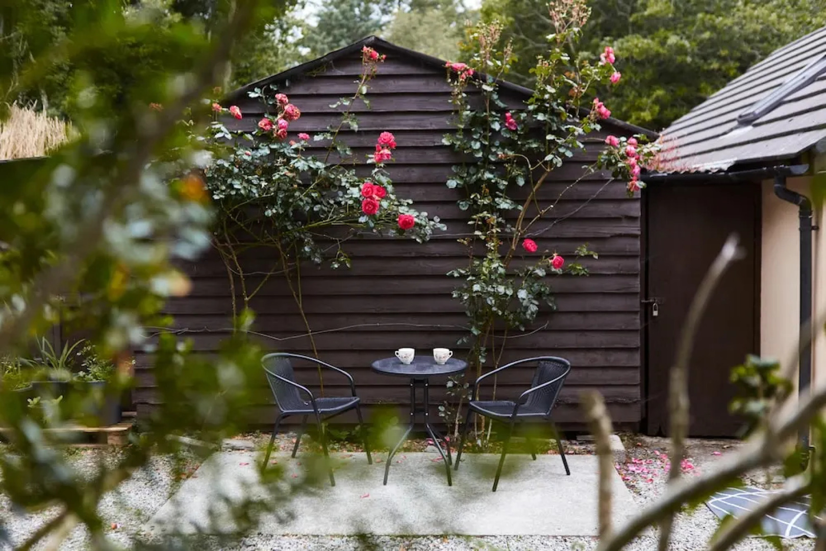 Sea View 1-bed Cottage With Private Garden