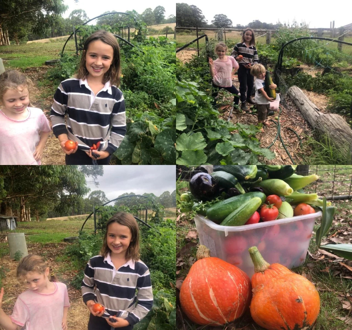 Billa Billa Farm Cottages