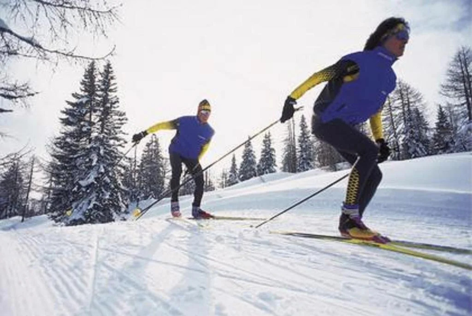 Hotel Pension Hochficht