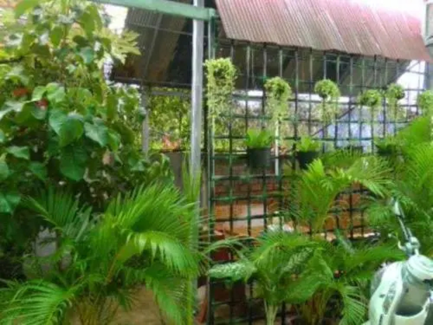 Mitapheap Guesthouse