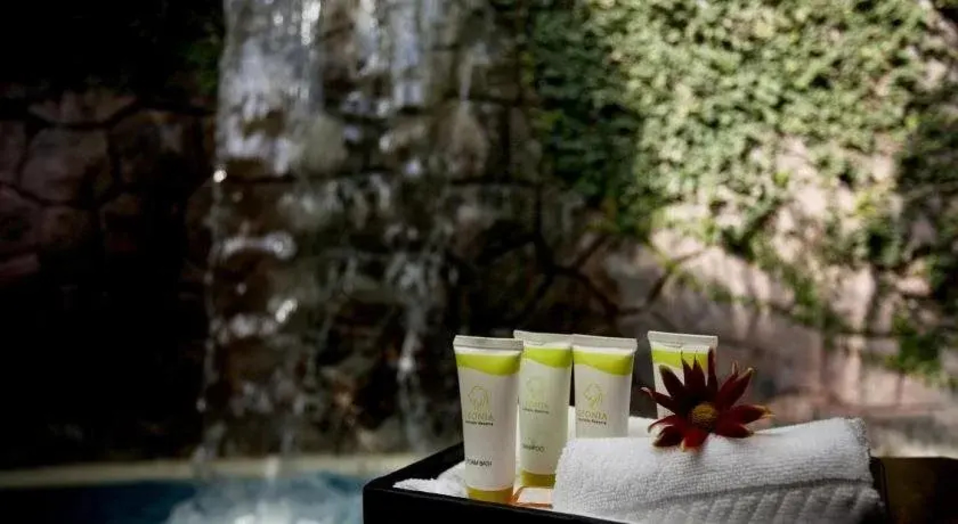 Leonia Holistic Destination