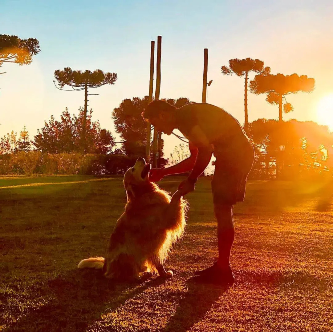 Surya-Pan Hotel Refúgio