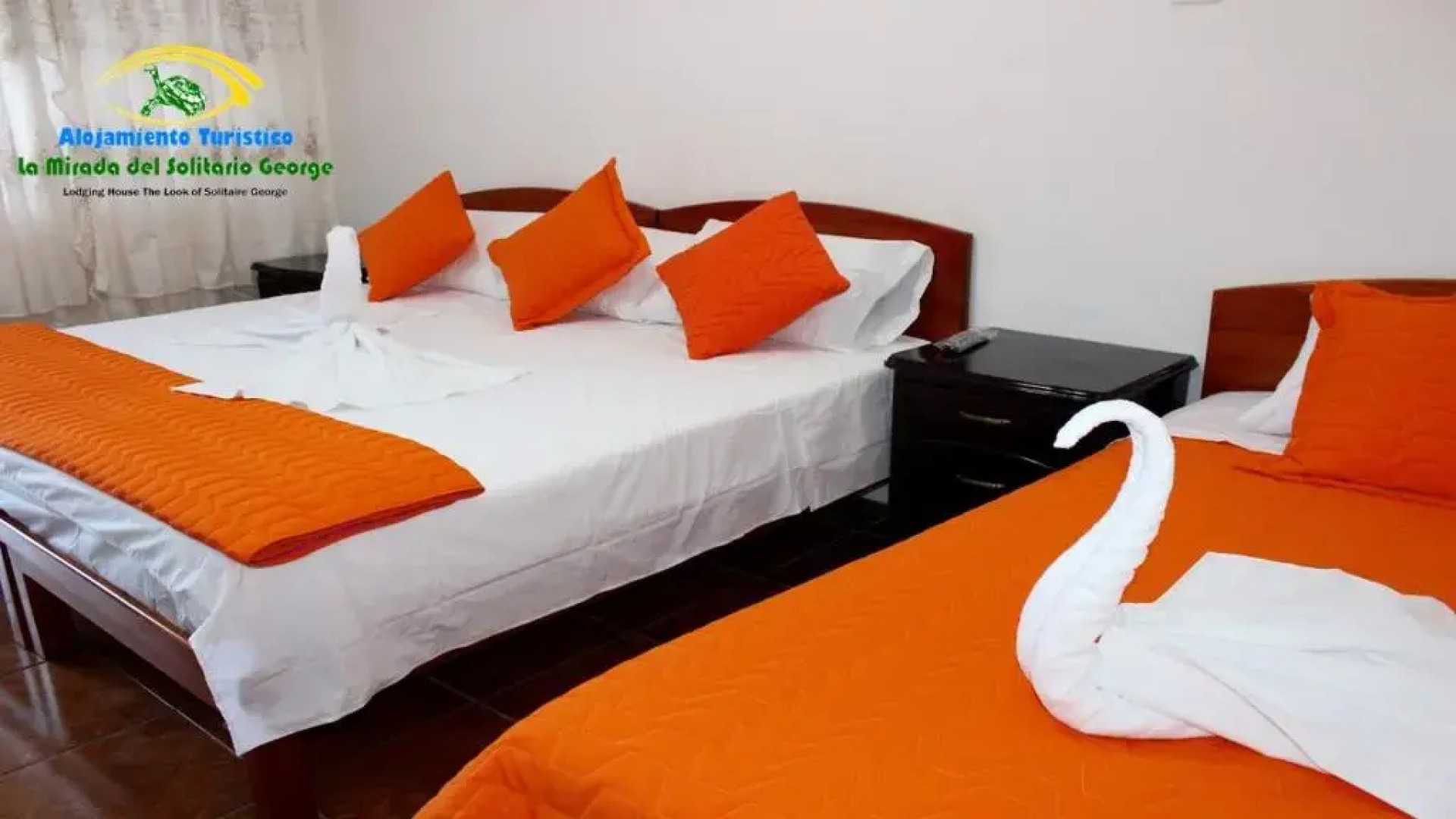 La Mirada De Solitario George