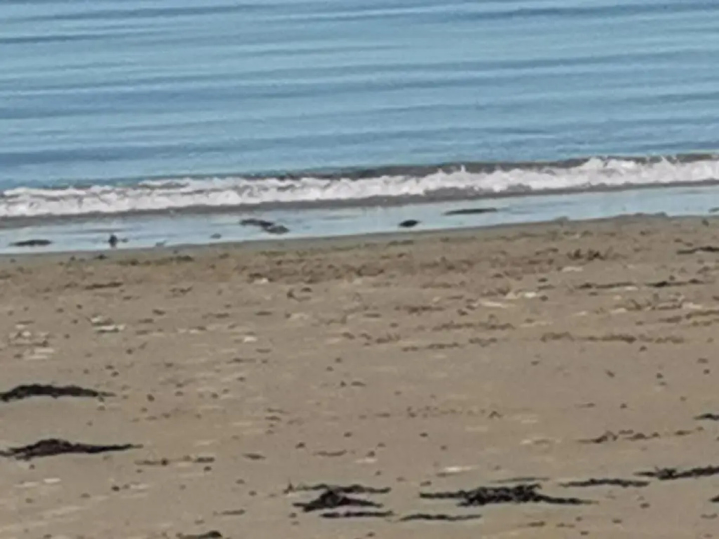 Snowdonia Sunbeach Holiday Sea and Mountain View