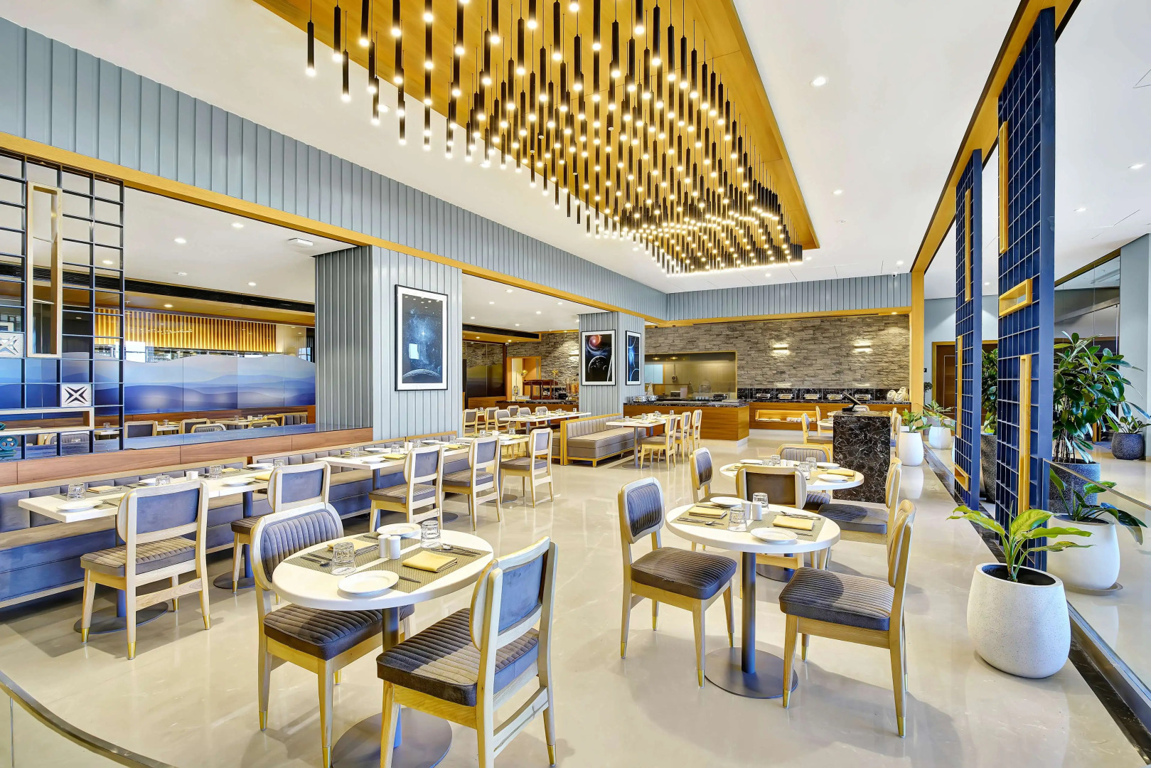 Radisson Hotel Nathdwara