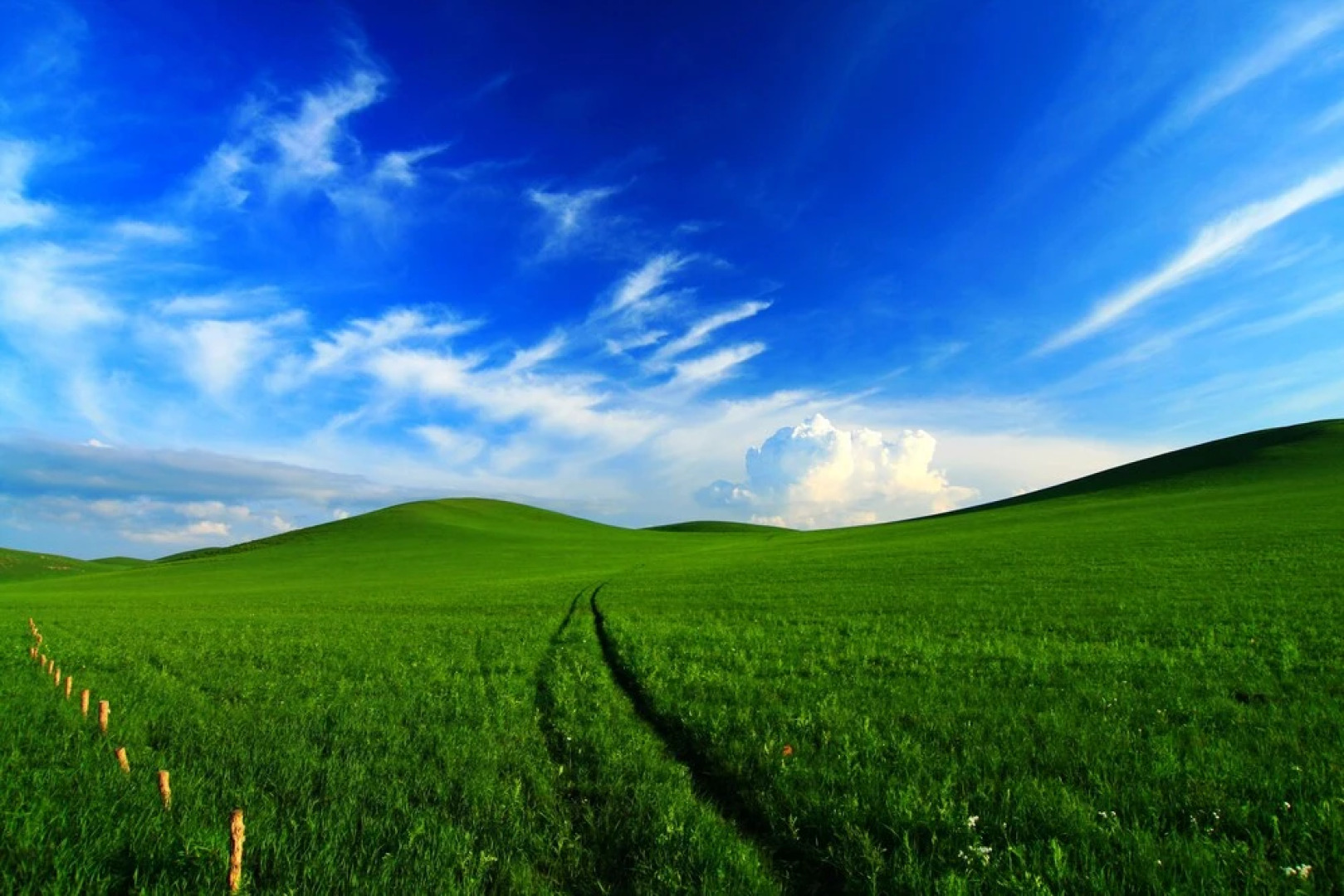 Xilingol Auspicious Horses