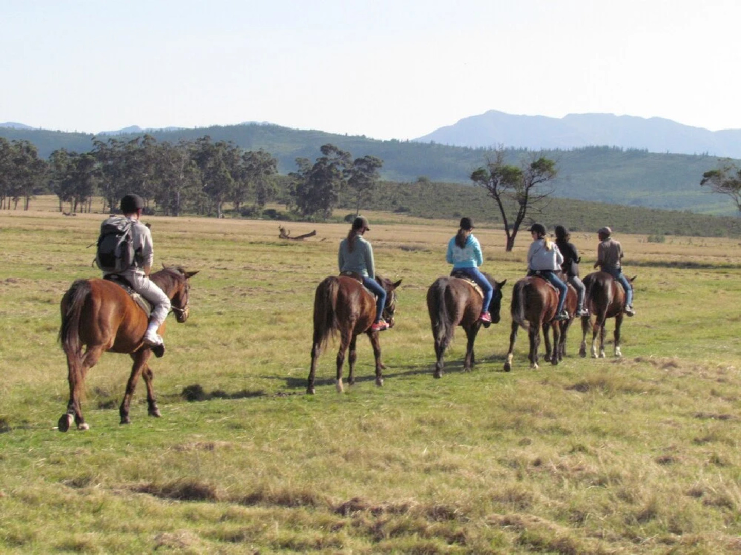 Plettenberg Bay Game Reserve