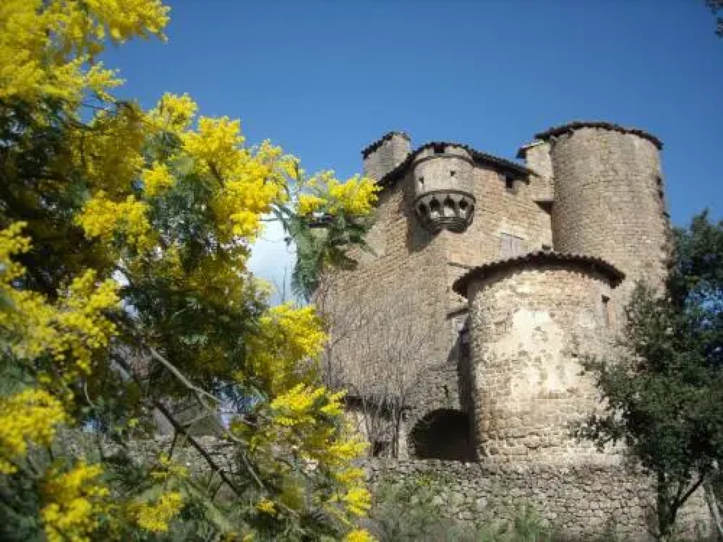 Camping La Charderie