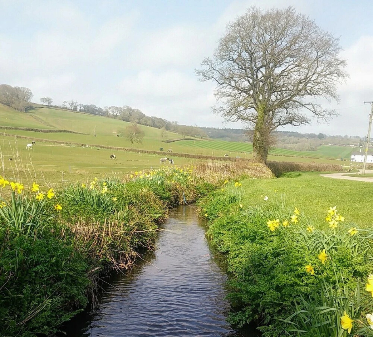 Higher Bruckland Farmhouse B&B