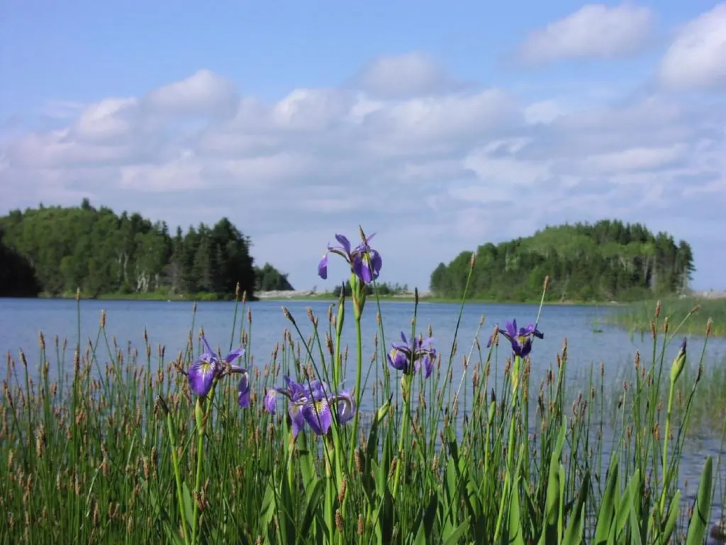 Breton Cove Farmhouse