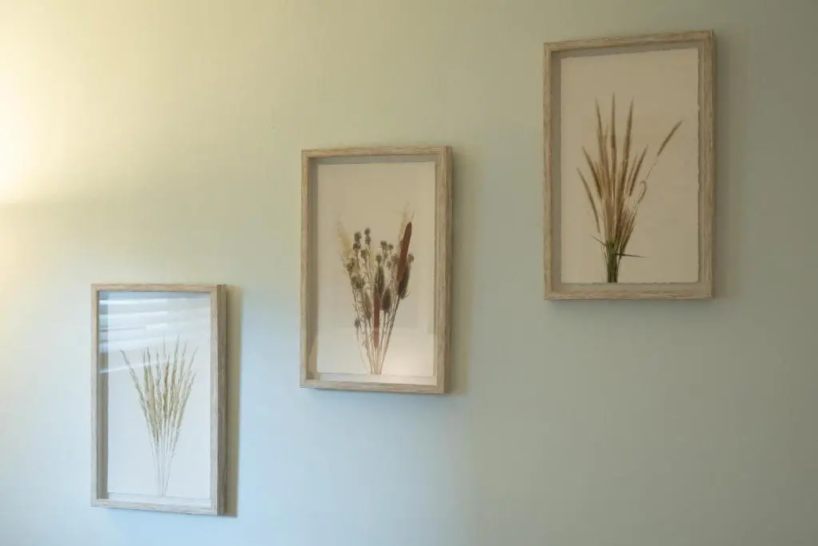 Adorable 1-bedroom suit with independent entrance