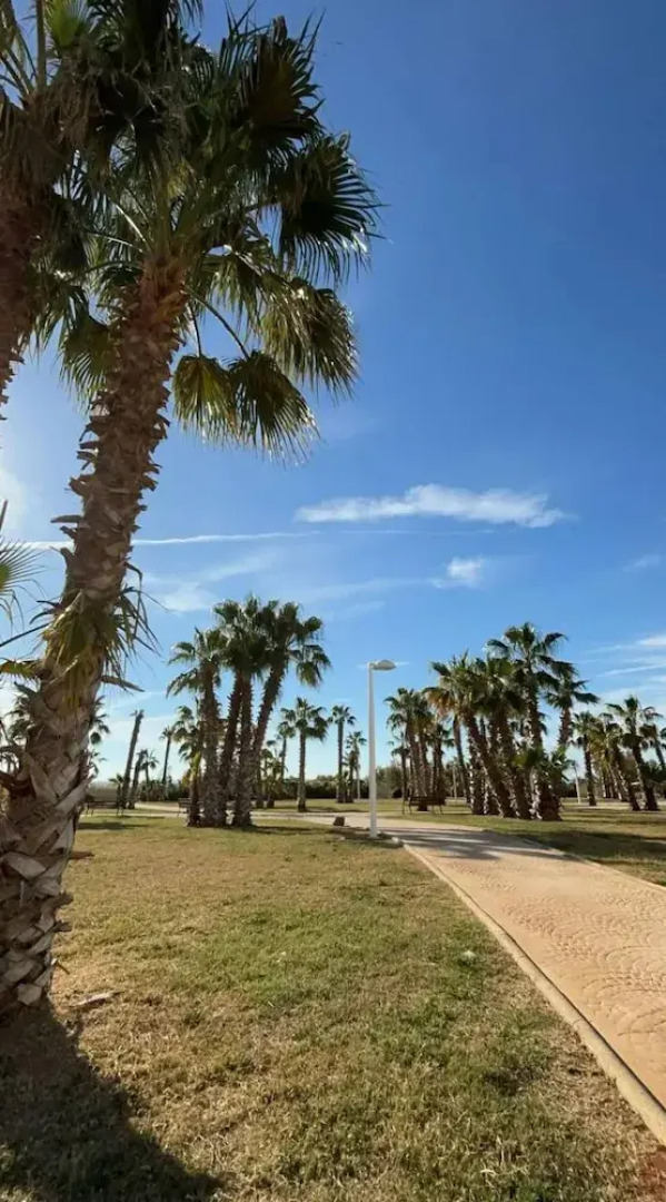 World Magic Vacaciones 5