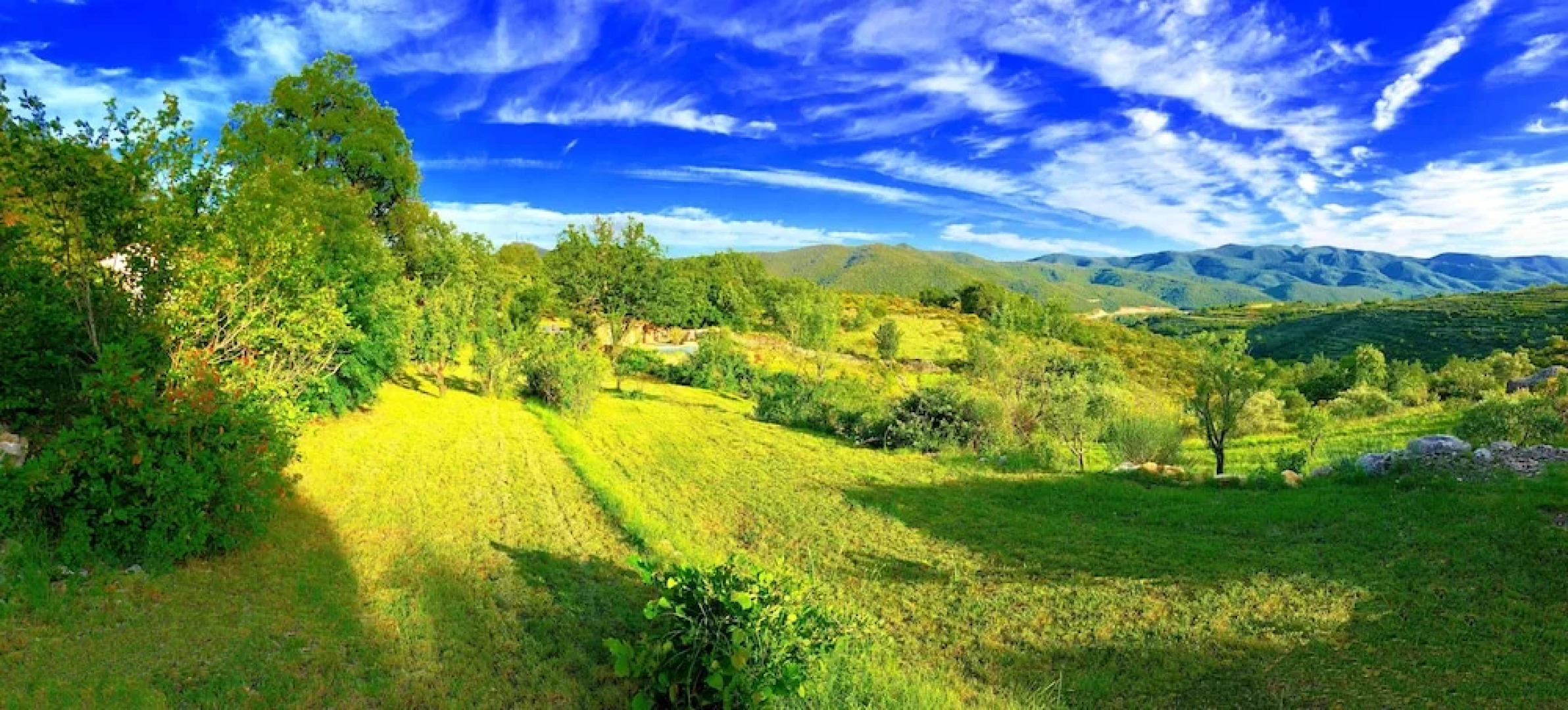 Wild Boar Mountain - France