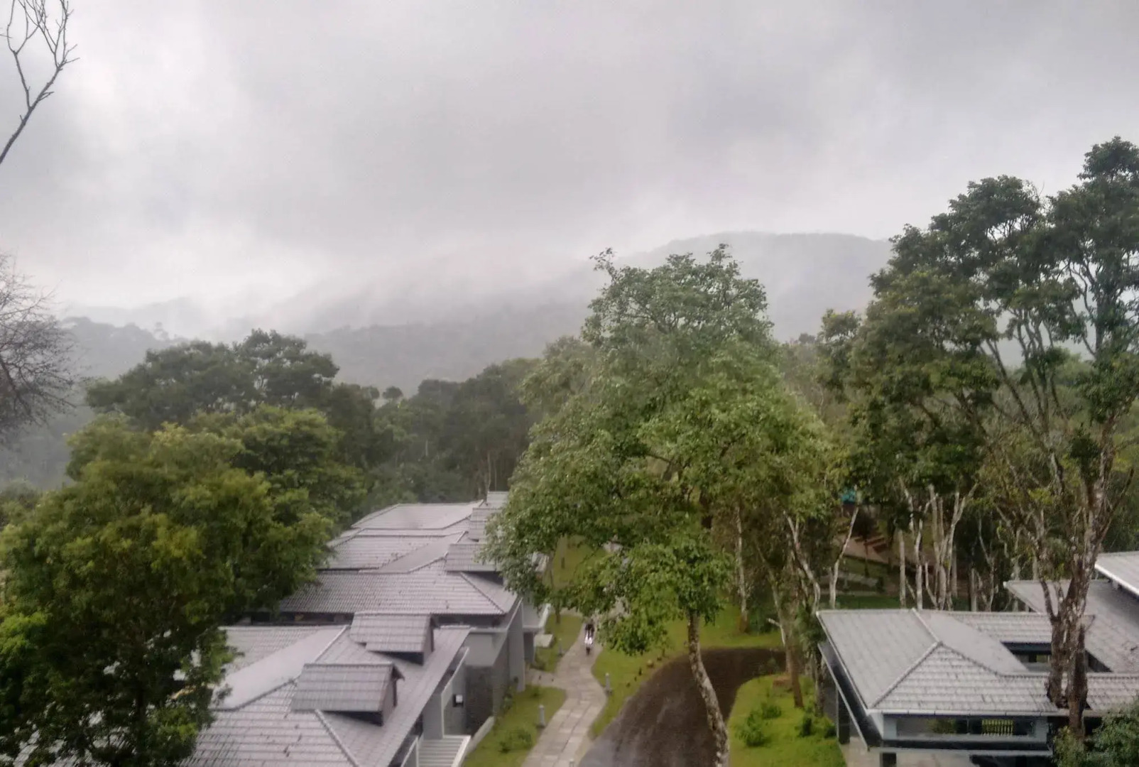 The Mountain Courtyard Thekady