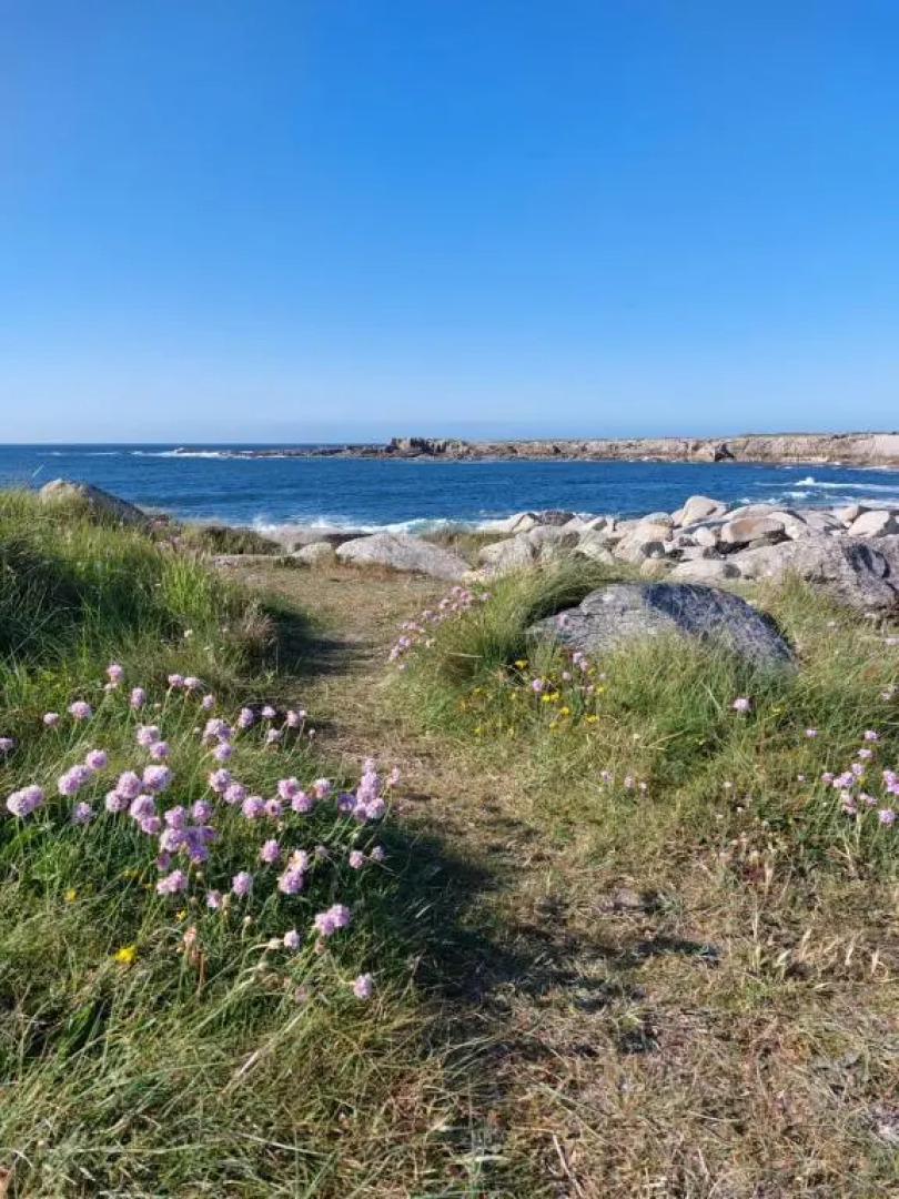 Île Grande, Location maison saisonnière chez Dom et Cathy C