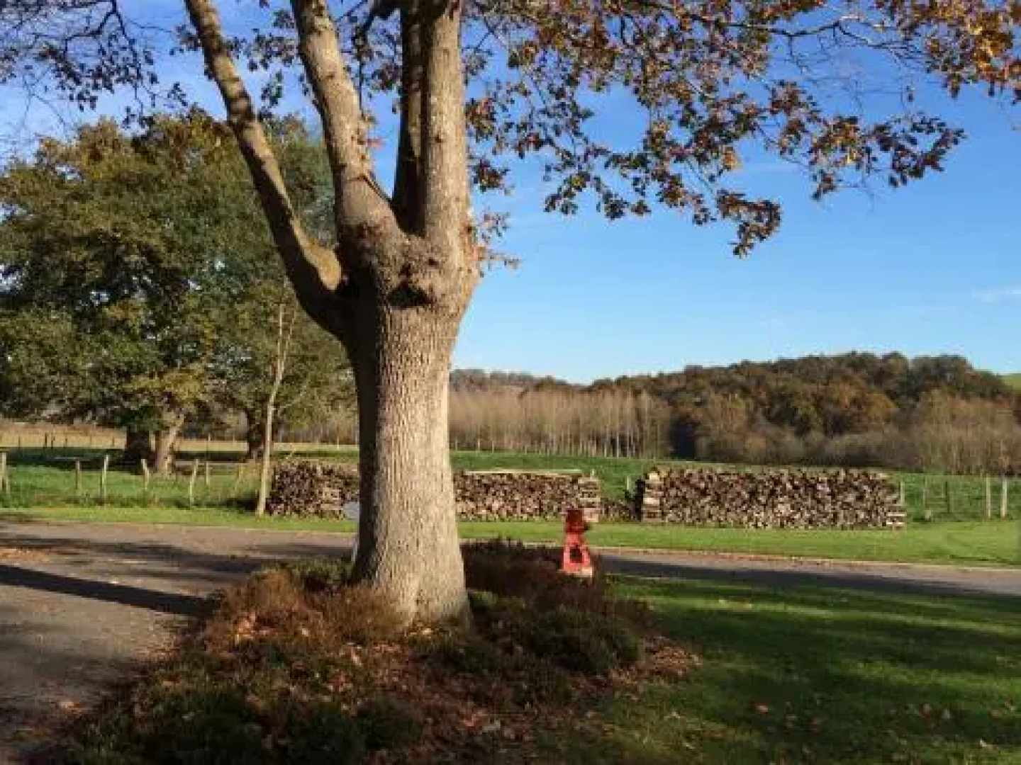Maison Etchebéhère