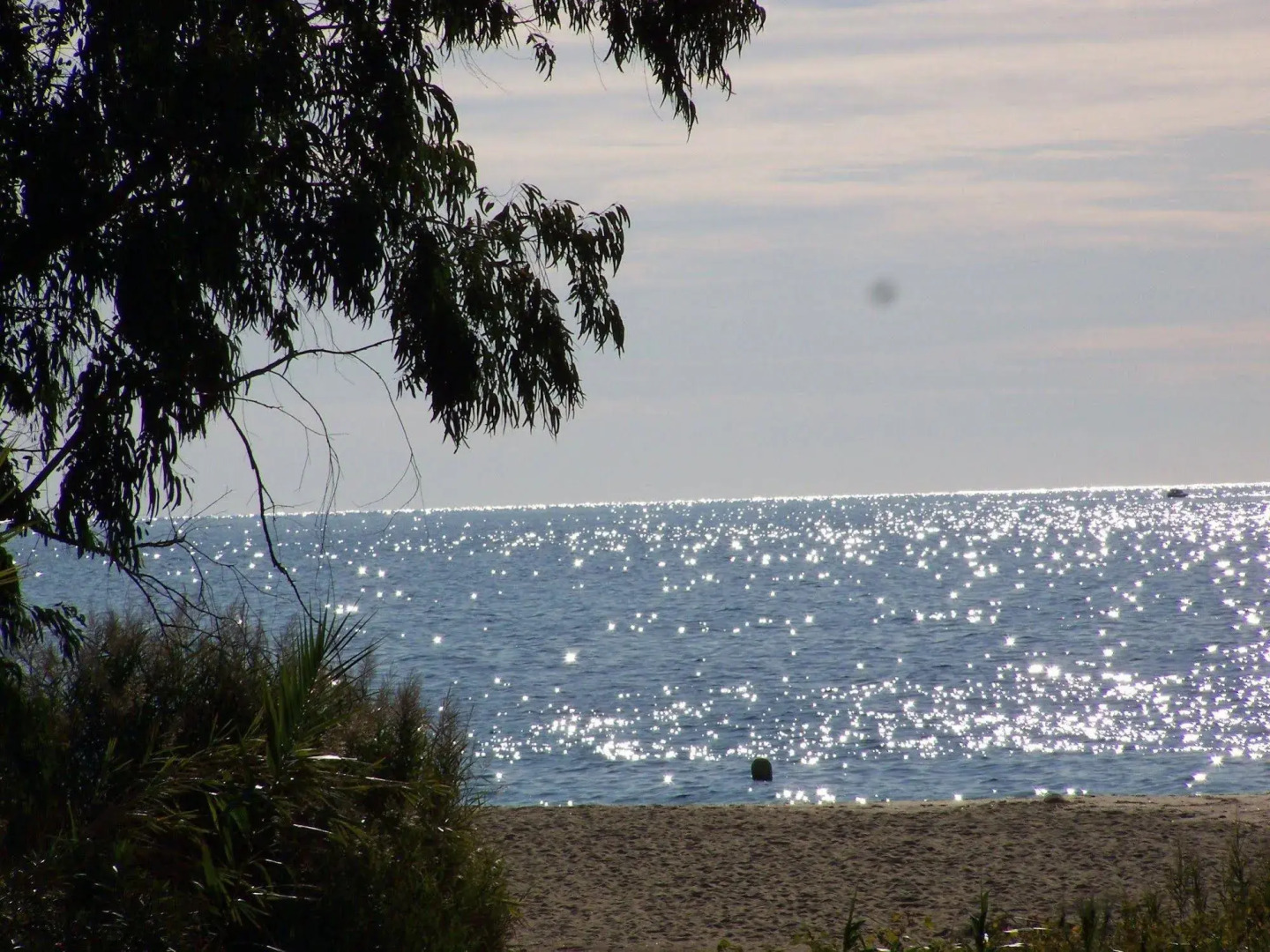 Le clos des sept palmiers