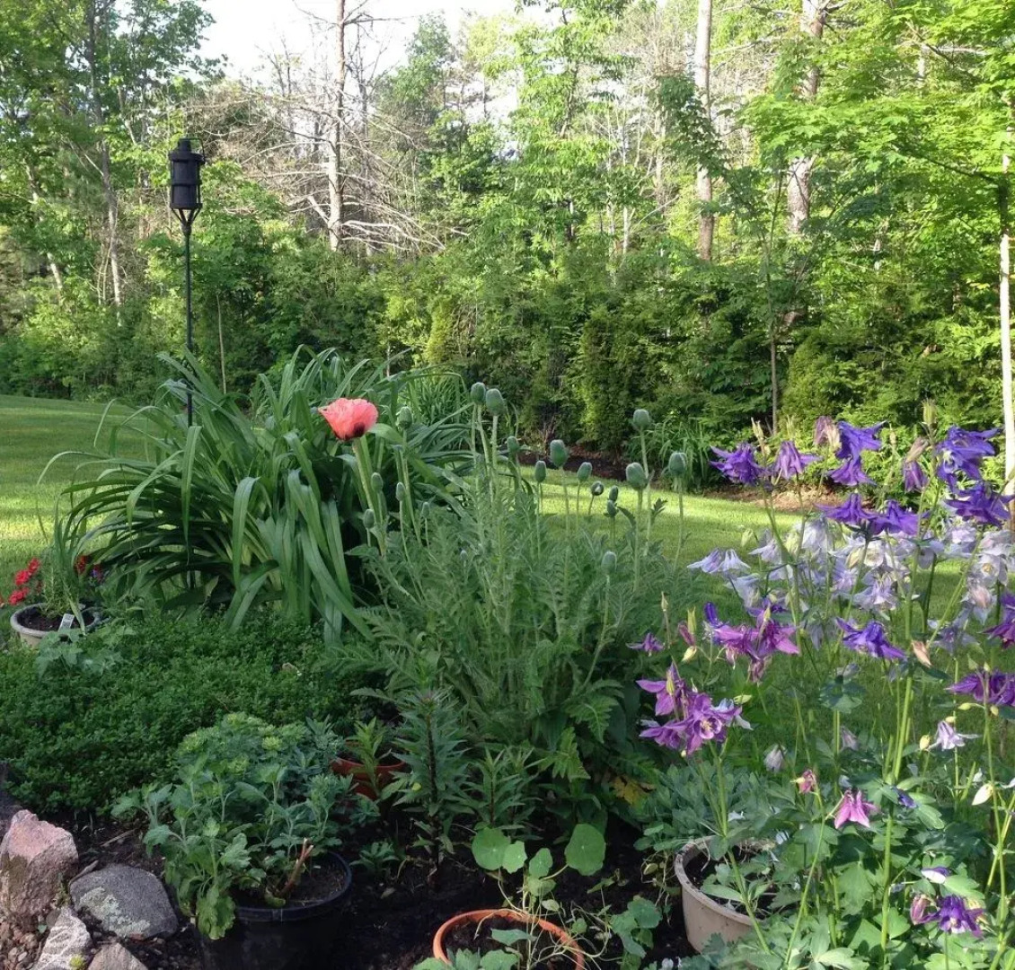 The Muskoka Rose Guest House & Retreat