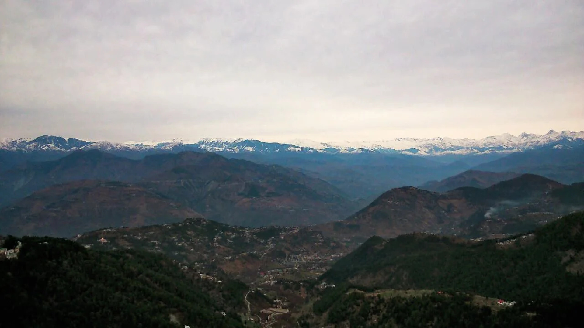 OYO 26147 Hotel Guncha Siddhartha