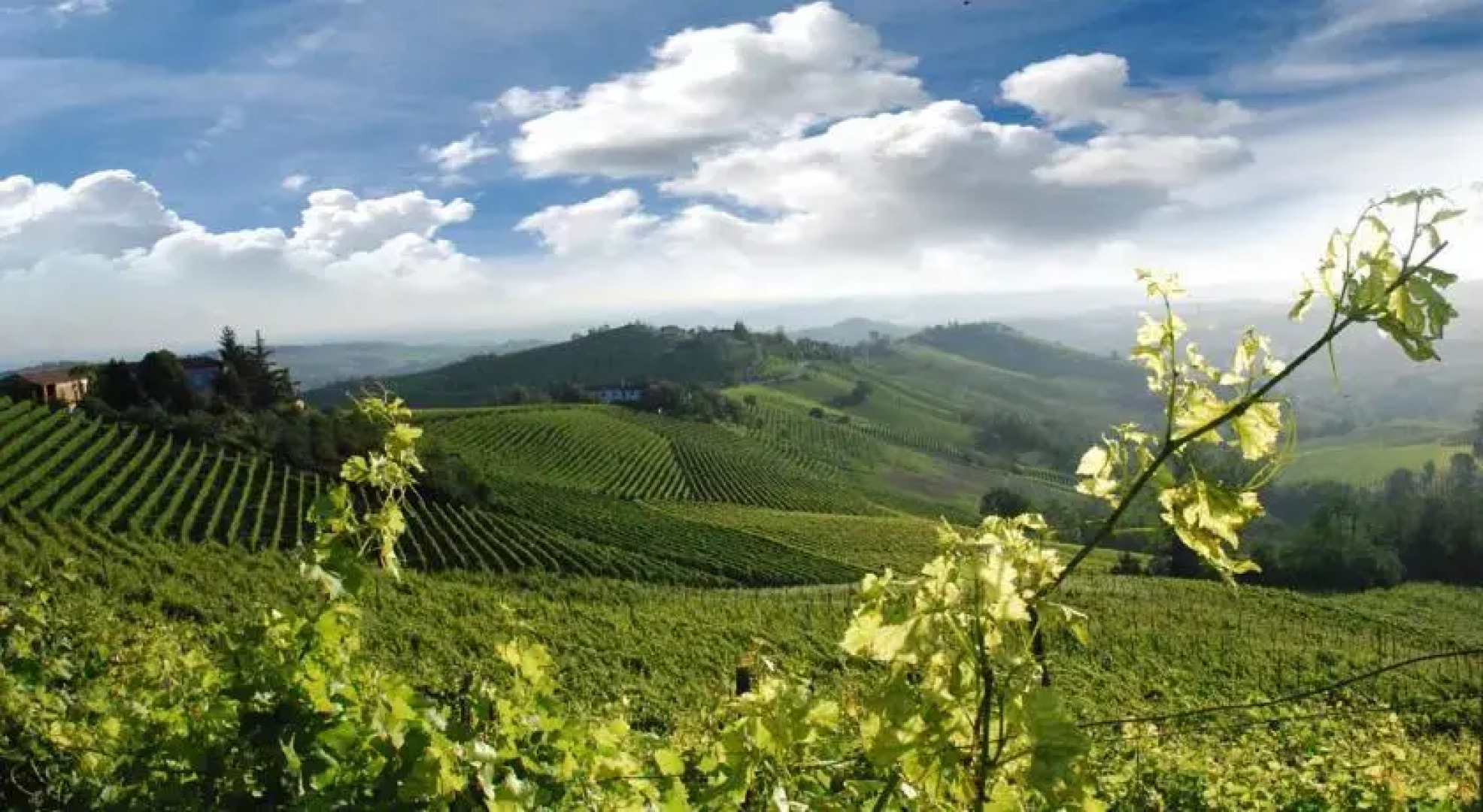 Golf Relais Monforte