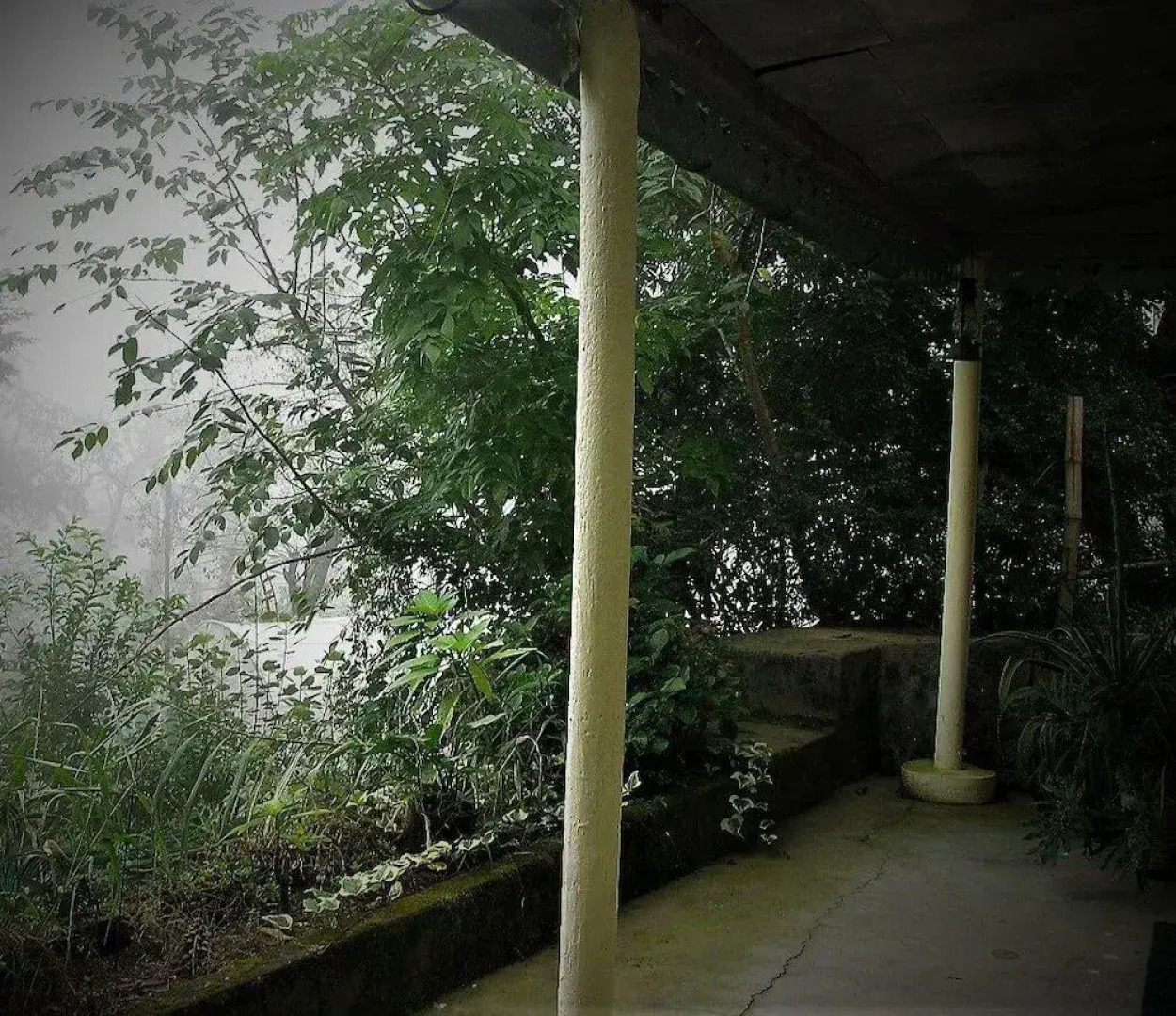 Ayush Cottages by OpenSky