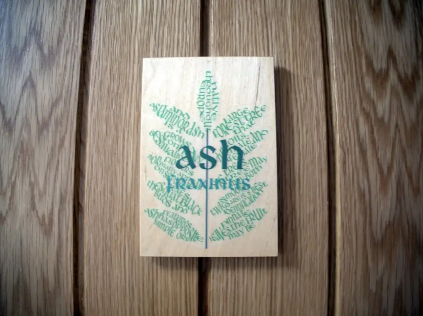 The Sanctuary Cornwall