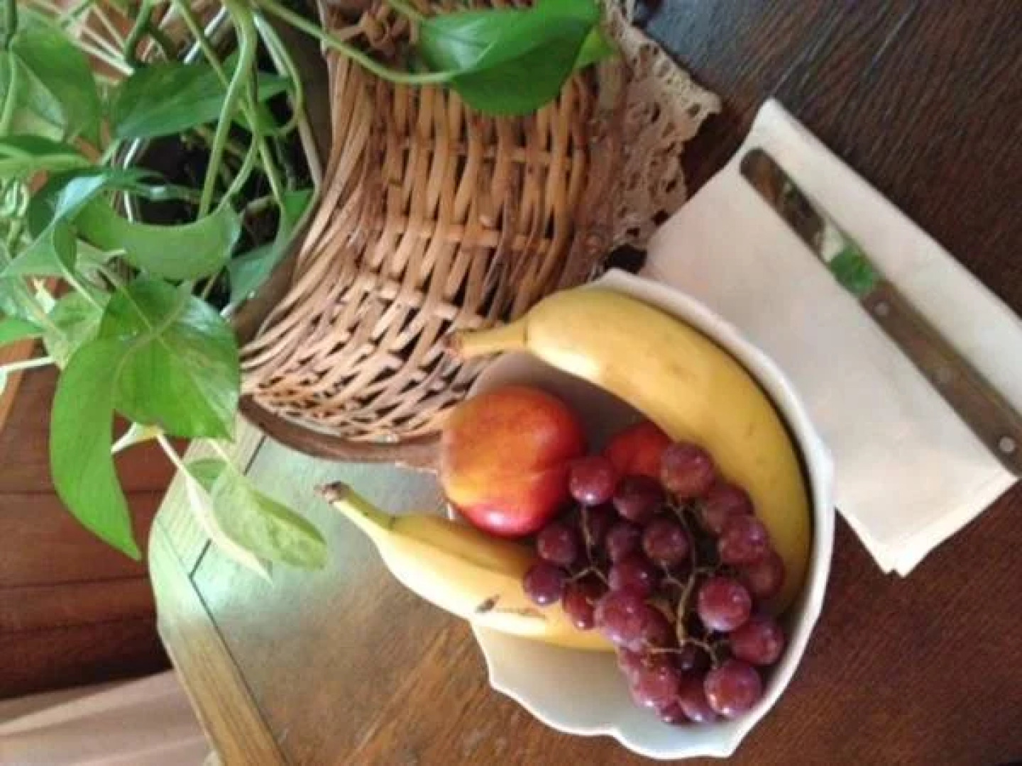 Judys Bed and Breakfast