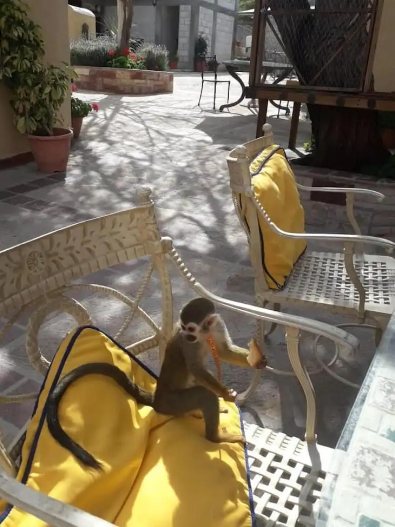 Posada Las Reynas by Rotamundos