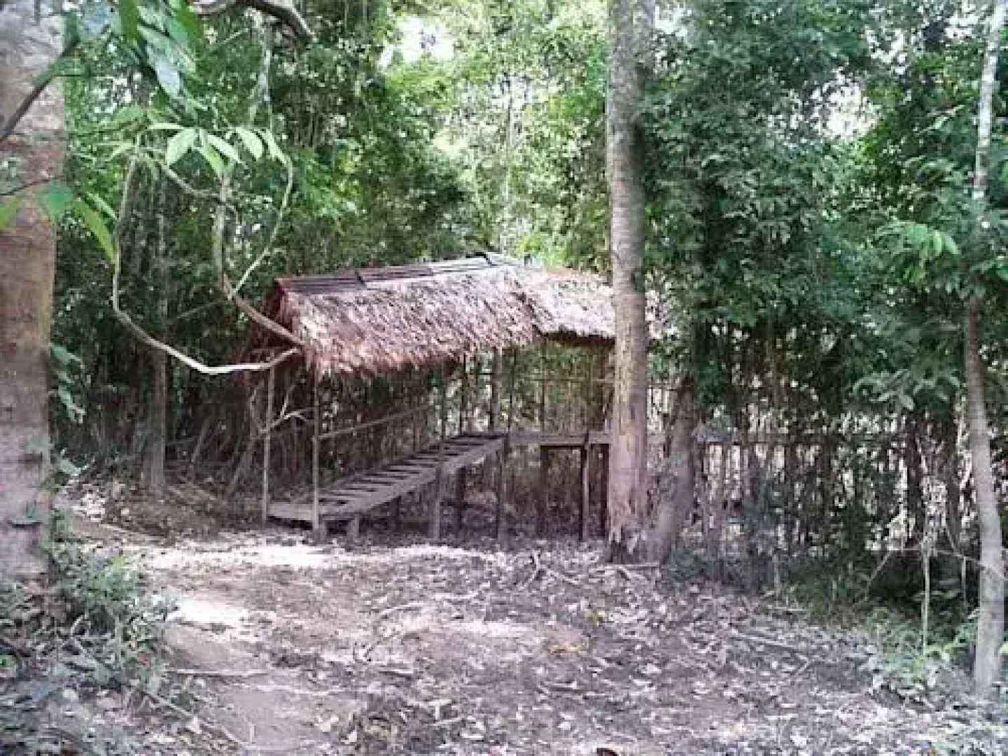 Yanapuma Explorer - Lodge & Adventure