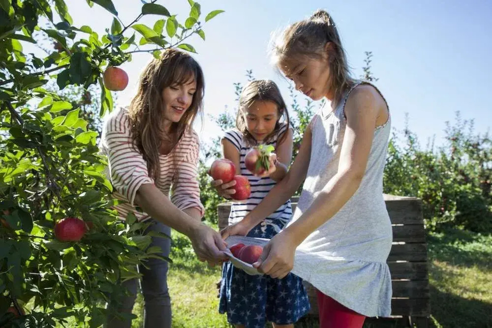 Econo Lodge At The Falls