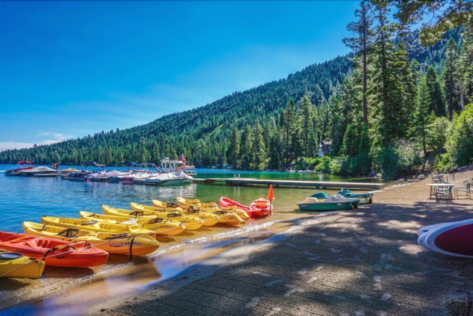 Rogers Cabin 4 Bedrooms 1.5 Bathroom Cabin