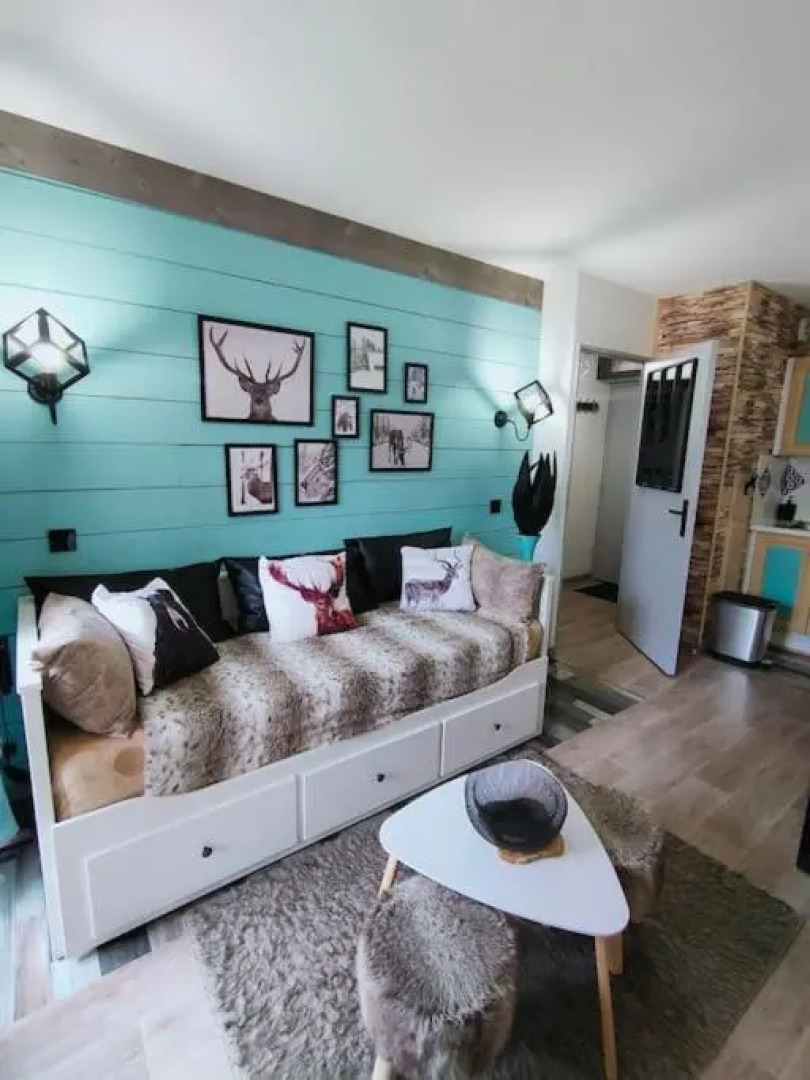 Superbe T2, à 100 mètres des pistes, piscine d'été