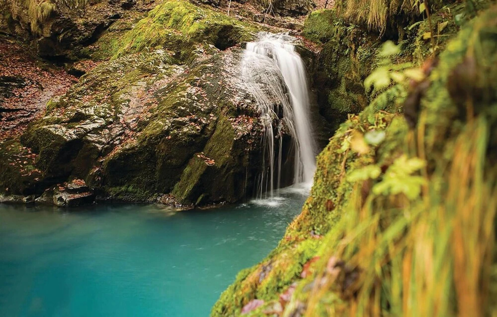 Amazing Home in Delnice With Wifi and 1 Bedrooms