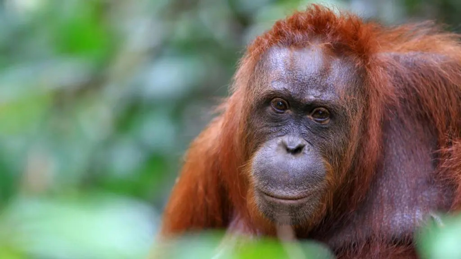 Comfort Inn & Suites Tigard near Washington Square