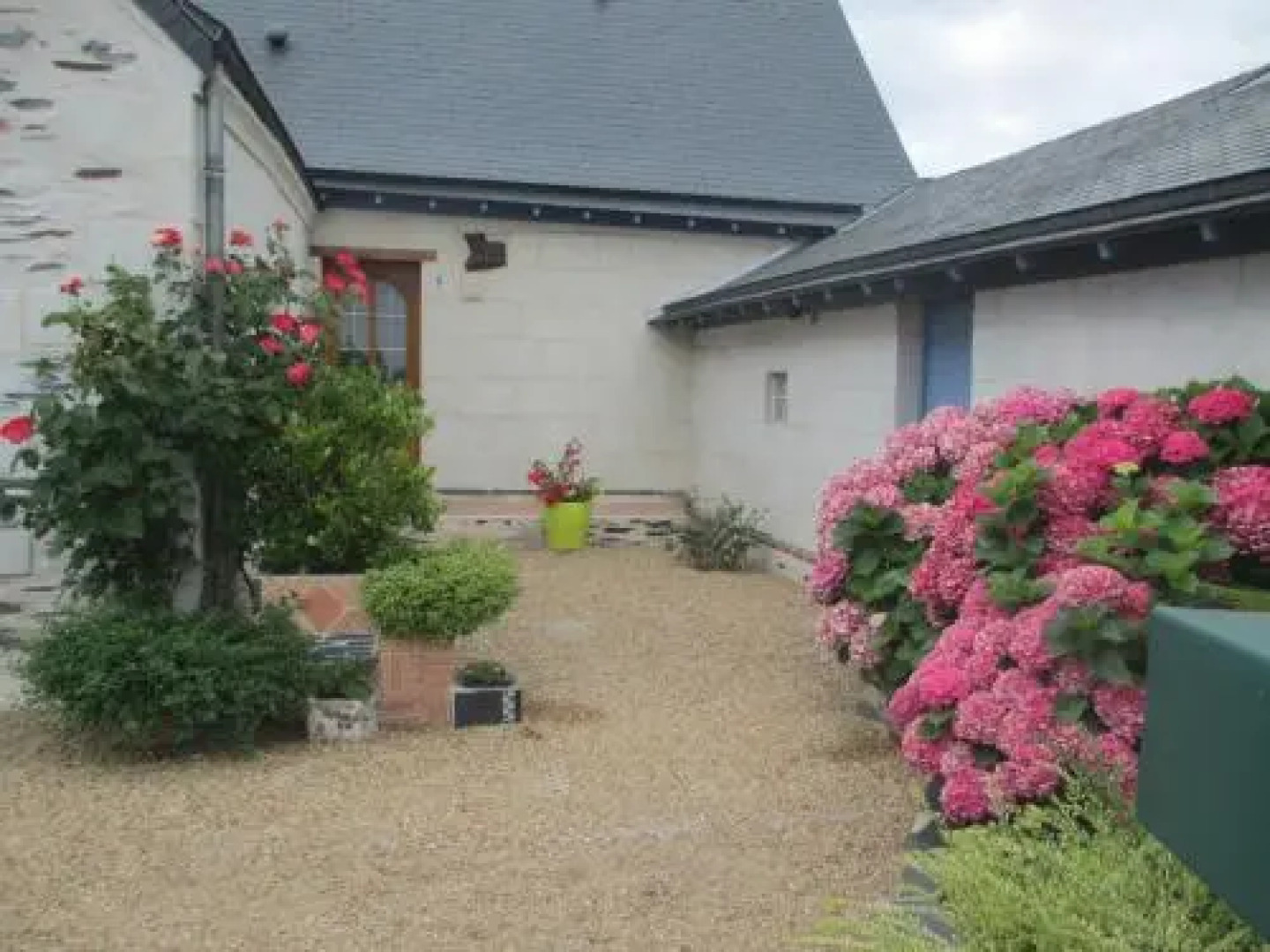 Les Palmiers à La Bohalle