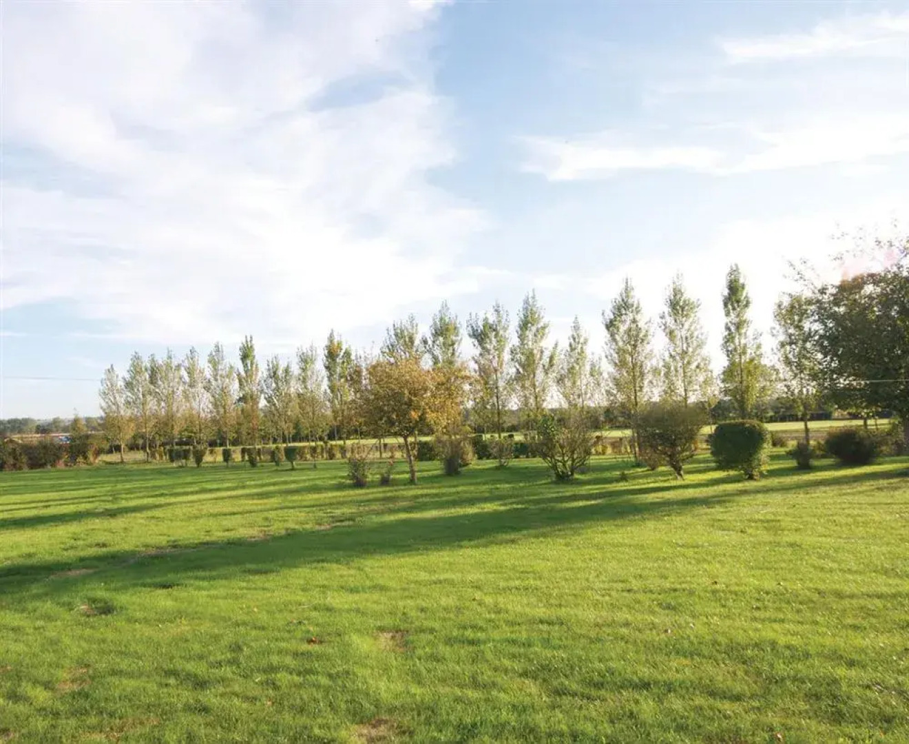 Treetops Cottages & Spa