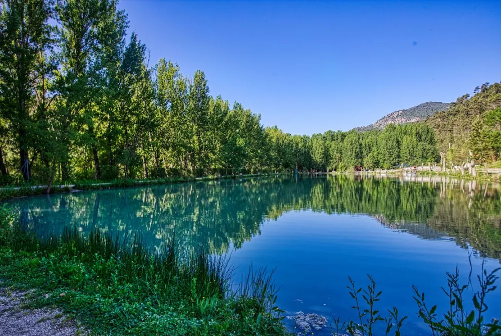 Noguera de la Sierpe