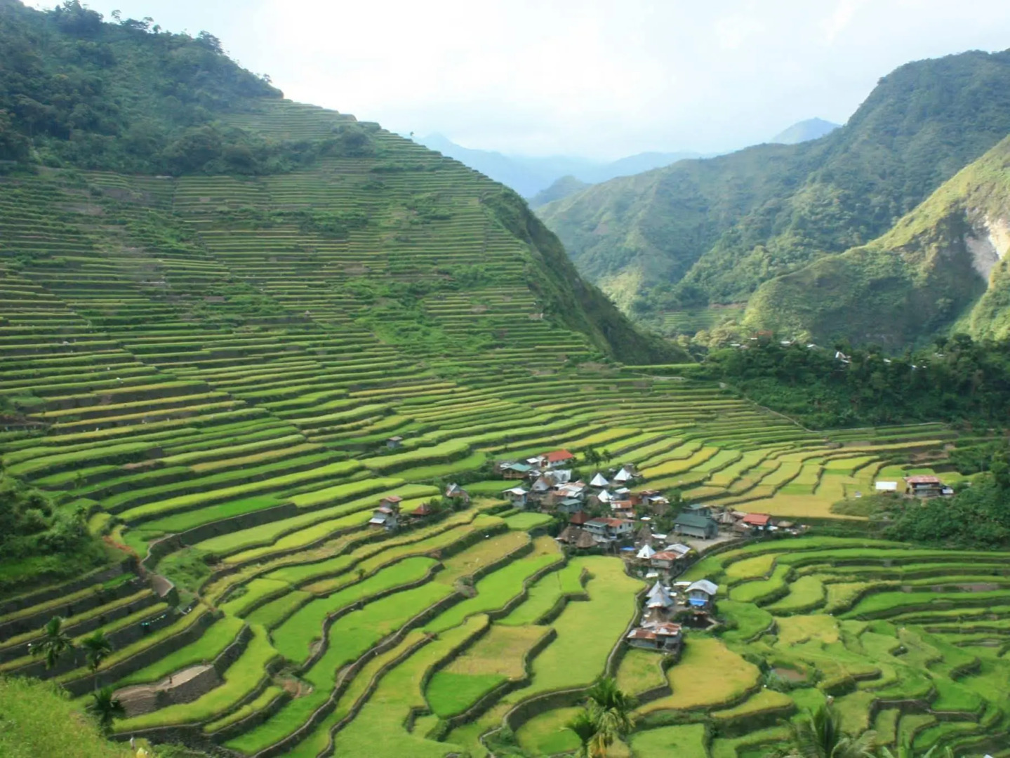 Batad Top View Point Homestay and Restaurant